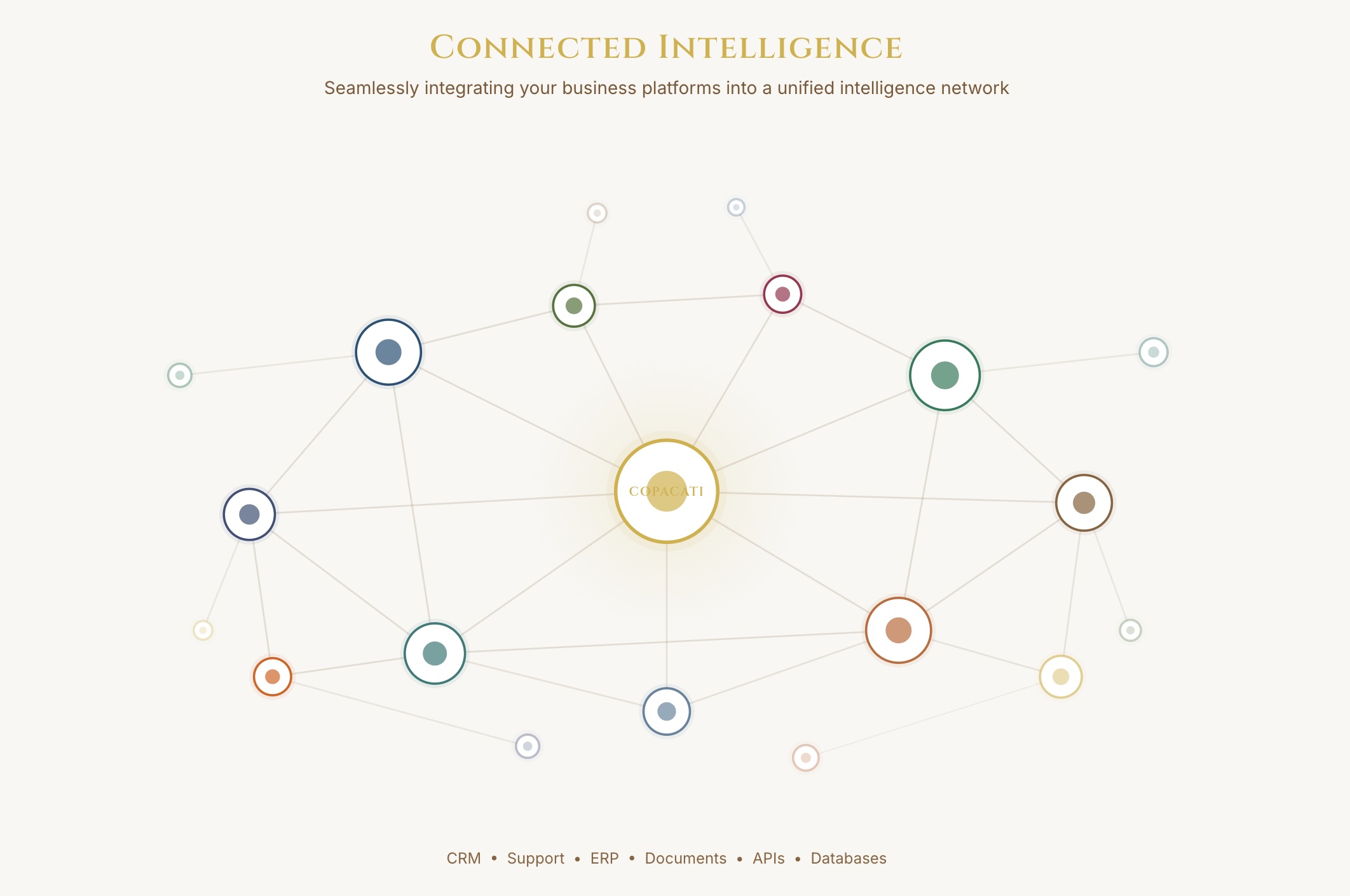 Copacati services: data integration, AI strategy, and custom analytics